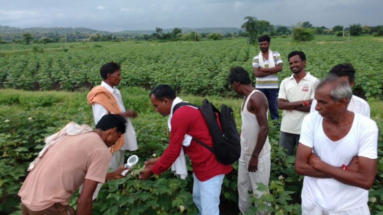 Forest rights work