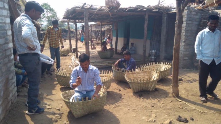 GSMT field programme