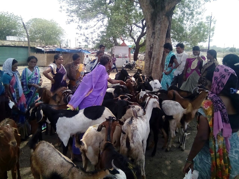 GSMT field visit