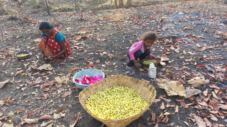 Women's self-help group meeting